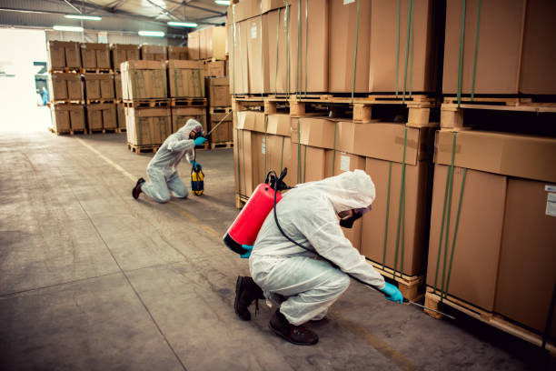 Best Best Pest Control Companies  in Hardeeville, SC