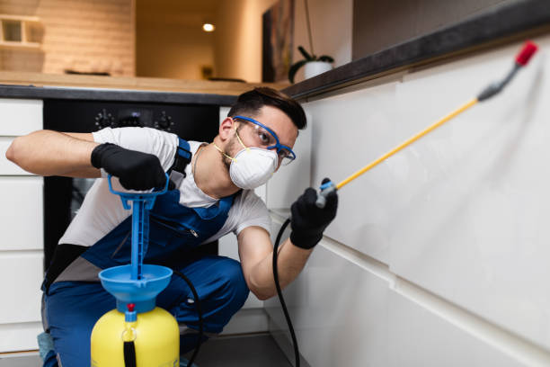 Best Affordable Exterminators  in Hardeeville, SC