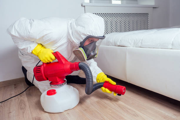 Best Pest Removal Services  in Hardeeville, SC