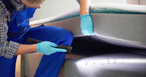 Best Best Pest Control Companies  in Hardeeville, SC