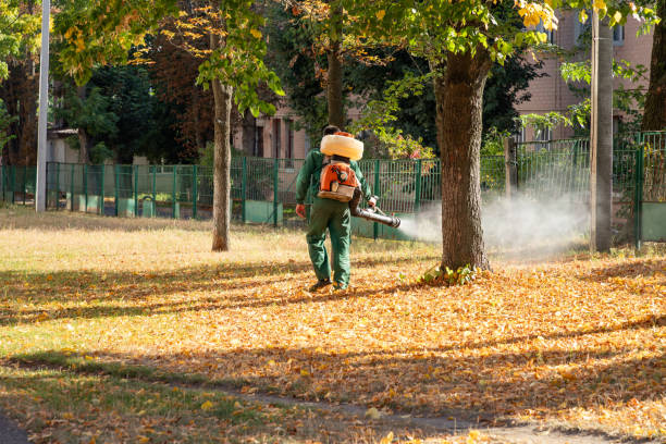 Best Cockroach Control Services  in Hardeeville, SC