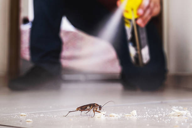 Best Pest Removal Services  in Hardeeville, SC